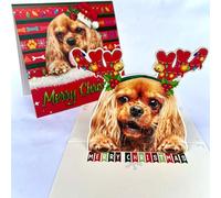Cavalier King Charles Spaniel Christmas Pop Up Card - 3D Holiday Greeting Card Featuring Adorable Spaniel Dog with Festive Reindeer Antlers, Perfect for Dog Lovers, Christmas Gift Card for Friends and