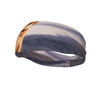 Cavalier King Charles Spaniel Coast Pets DogsHair Bands for Men Woman Headband Running Headband Sweat Wicking Gym