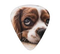 Cavalier King Charles Spaniel Cute Dogs Pets,12 Pcs Guitar Pick,3 Different Thickness Plectrums for Acoustic Guitar Bass Ukulele (0.46mm 0.96mm 0.71mm)