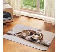 Cavalier King Charles Spaniel Cute Dogs Pets,Waterproof Pet Feeding Mat,PU Leather Placemats for Cat Dog Water Bowl,Food Mats,30x45cm