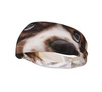 Cavalier King Charles Spaniel Cute Dogs PetsHair Bands for Men Woman Headband Running Headband Sweat Wicking Gym