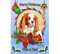 Cavalier King Charles Spaniel Dog Christmas Card Blue 'Merry Christmas Mum & Dad' - Special Animal Xmas Card for Him Her From Kids Pets