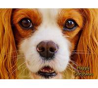 Cavalier King Charles Spaniel Dog Christmas Card 'Happy Christmas' - Special Animal Xmas Card for Him Her from Pets Kids