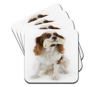 Cavalier King Charles Spaniel Dog Holding A Bone Set of 4 Coasters