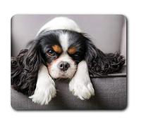 Cavalier King Charles Spaniel Dog Mouse Mat Pad Computer PC Laptop Gaming Office Home Desk Accessory Gadget 12388