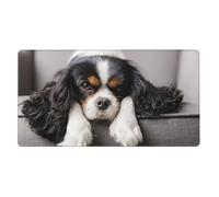 Cavalier King Charles Spaniel Dog,Mouse Pad Large Desk Pad Computer Keyboard Mouse Mat with Non Slip Rubber Base 40 x 70 cm