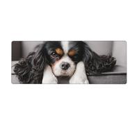 Cavalier King Charles Spaniel Dog,Mouse Pad Large Desk Pad Computer Keyboard Mouse Mat With Non Slip Rubber Base 30 x 80 cm