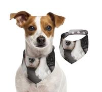 Cavalier King Charles Spaniel Dog,Pet Bib Scarf Cats Dog Bandana Dogs Towel Bib Adjustable Pet Scarf,L