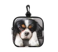 Cavalier King Charles Spaniel Dog, Square Zipper Storage Bag, Neoprene Coin Purse, Small Wallets, Change Pouch, Change Purse