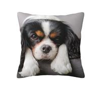 Cavalier King Charles Spaniel Dog, Throw Pillow Cover Decorative Polyester Pillowcase Soft Cushion Covers 45x45 cm