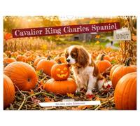 Cavalier King Charles Spaniel - Ein Jahr voller Erlebnisse (Wandkalender 2027 DIN A3 quer), CALVENDO Monatskalender: Charmante Cavalier¿Momente voller Freude, Natur und herzlichen Erlebnissen.