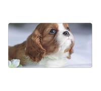 Cavalier King Charles Spaniel Face,Mouse Pad Large Desk Pad Computer Keyboard Mouse Mat with Non Slip Rubber Base 40 x 70 cm