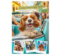 Cavalier King Charles Spaniel - Fun trip around the world in selfie mode UK-Version (Wall Calendar 2026 DIN A4 Portrait), CALVENDO 12 Month Wall Calendar