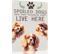 Cavalier-King-Charles Spaniel Metal Sign Spoiled Dog Lives Here Vintage Metal Tin Signs Novelty Dog Sign Coffee Bar Pub Farmhouse Country Home Decor for Dog Lover 8x12 Inch