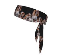 Cavalier King Charles Spaniel Mother With Cubs, Head Tie, Sports Headband Tie Back, Multi Sweatband for Men Women