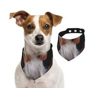 Cavalier King Charles Spaniel Mother With Cubs,Pet Bib Scarf Cats Dog Bandana Dogs Towel Bib Adjustable Pet Scarf,S