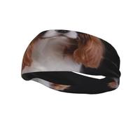 Cavalier King Charles Spaniel Mother With CubsHair Bands for Men Woman Headband Running Headband Sweat Wicking Gym