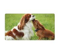 Cavalier King Charles Spaniel,Mouse Pad Large Desk Pad Computer Keyboard Mouse Mat with Non Slip Rubber Base 40 x 70 cm