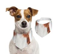 Cavalier King Charles Spaniel,Pet Bib Scarf Cats Dog Bandana Dogs Towel Bib Adjustable Pet Scarf,L