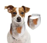 Cavalier King Charles Spaniel,Pet Bib Scarf Cats Dog Bandana Dogs Towel Bib Adjustable Pet Scarf,M
