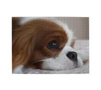 Cavalier King Charles Spaniel Pets Puppy Dogs,500 Pieces Puzzles for Adults-Wooden Jigsaw Puzzle for Adults Elderly