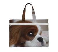Cavalier King Charles Spaniel Pets Puppy Dogs,Canvas Document Bag Zipper File Tote Bag Handbag Briefcase for School Office