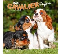 Cavalier King Charles Spaniel Puppies | 2026 12 x 24 Inch (Hanging) Monthly Square Wall Calendar | Plastic-Free | BrownTrout | Animals Dog Breeds Puppy