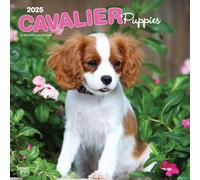 Cavalier King Charles Spaniel Puppies Calendar 2025