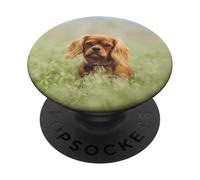 Cavalier King Charles Spaniel Ruby Puppy Dog Gift PopSockets PopGrip: Swappable Grip for Phones & Tablets PopSockets Adhesive PopGrip