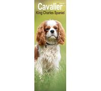 Cavalier King Charles Spaniel Slim 2026 Calendar | Slimline Wall Calendar | Dog Breed Gift | Plastic Free Packaging | by Avonside Publishing