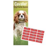 Cavalier King Charles Spaniel Slim Calendar 2026 | Dog Breed Slimline Calendar | 12 Month | With Free Organisational Stickers