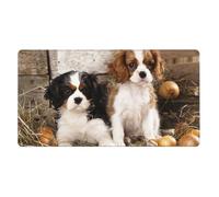 Cavalier King Charles Spaniel Small Puppies,Mouse Pad Large Desk Pad Computer Keyboard Mouse Mat with Non Slip Rubber Base 40 x 70 cm