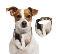 Cavalier King Charles Spaniel Small Puppies,Pet Bib Scarf Cats Dog Bandana Dogs Towel Bib Adjustable Pet Scarf,L