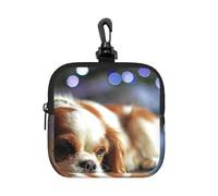 Cavalier King Charles Spaniel Small Spaniel, Square Zipper Storage Bag, Neoprene Coin Purse, Small Wallets, Change Pouch, Change Purse