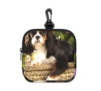 Cavalier King Charles Spaniel, Square Zipper Storage Bag, Neoprene Coin Purse, Small Wallets, Change Pouch, Change Purse