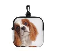 Cavalier King Charles Spaniel, Square Zipper Storage Bag, Neoprene Coin Purse, Small Wallets, Change Pouch, Change Purse