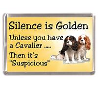 Cavalier King Charles Spaniel (Tri & Blenheim) Dog Fridge Magnet "Silence is Golden Unless You Have a Cavalier - Then It's Suspicious"