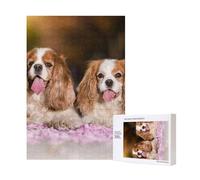 Cavalier King Charles Spaniel White Brown Dogs,300 Pieces Wooden Jigsaw Family Game Jigsaw Puzzles for Adults Teens
