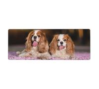 Cavalier King Charles Spaniel White Brown Dogs,Mouse Pad Large Desk Pad Computer Keyboard Mouse Mat With Non Slip Rubber Base 30 x 80 cm