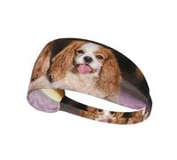 Cavalier King Charles Spaniel White Brown Dogs,Sports Sweatband for Unisex Multi Headband Elastic Exercise Hairband