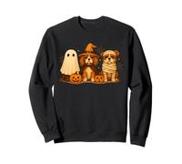 Cavalier King Charles Spaniel Witch Scary Halloween Pumpkin Sweatshirt
