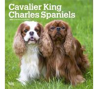 BrownTrout Calendar Cavalier King Charles Spaniels 2026 – 16-Month Multilingual Square Flap