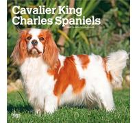 Cavalier King Charles Spaniels 2027 12 X 24 Inch (Hanging) Monthly Square Wall Calendar Plastic-Free: Original BrownTrout-Kalender [Mehrsprachig] [Kalender]