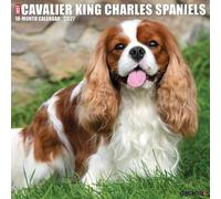 Cavalier King Charles Spaniels 2027 Wall