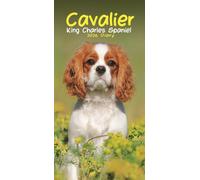 Cavalier King Charles Spaniels Slim Diary 2026