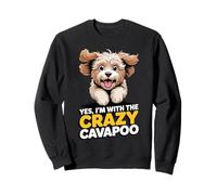 Cavalier Poodle Mix Breed Dog Yes, Im with the crazy Cavapoo Sweatshirt