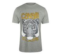 Cavalli Class Bold Tiger Graphic Grey Melange T-Shirt - XXL - XXL