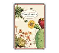 Cavallini & Co. Cacti & Succulents Vintage Postcard Set