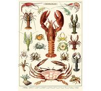 Cavallini & Co. - Vintage poster/school poster - Lobsters