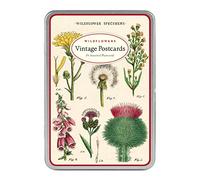 Cavallini & Co. Vintage Wild Flowers Postcard Set